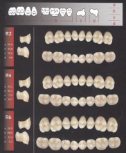 Zęby REF-LINE boczne R