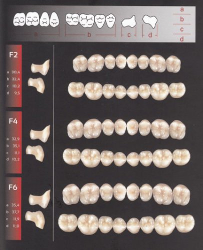 Zęby REF-LINE boczne F