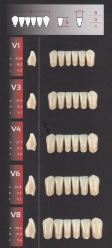 Zęby REF-LINE przednie dolne V