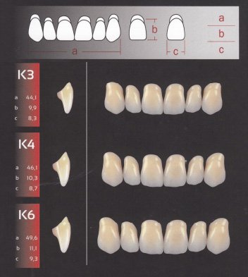 Zęby REF-LINE przednie górne K