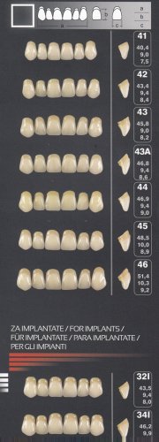 Zęby PRIMODENT przednie górne kwadratowe