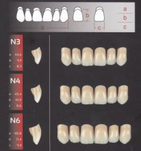 Zęby REF-LINE przednie górne N