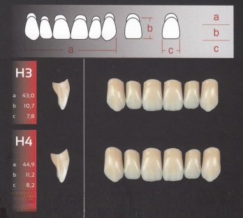 Zęby REF-LINE przednie górne H